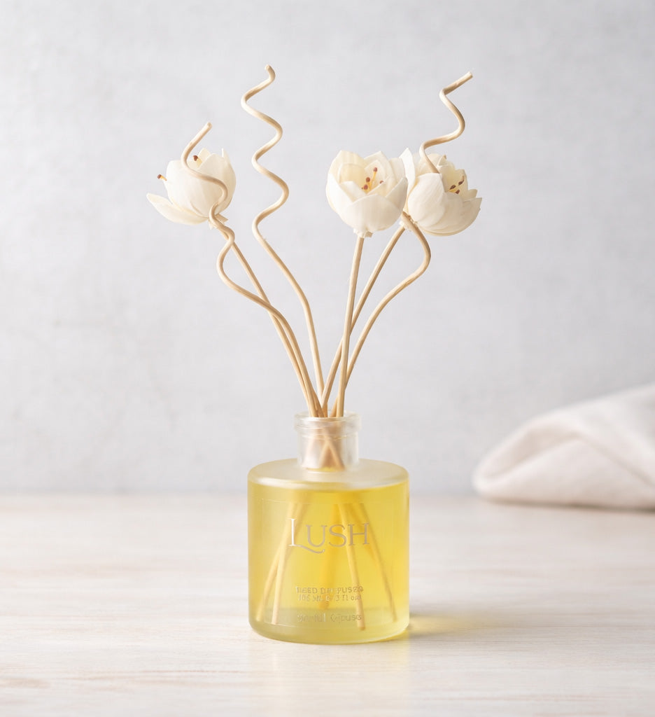 LUSH Reed Diffuser – Pear Mascarpone | 165g - Jarful House
