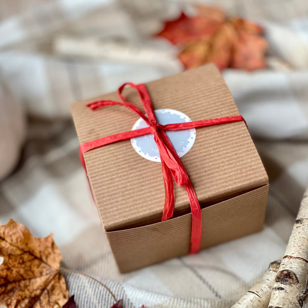 Firestarters pine cones set of 6