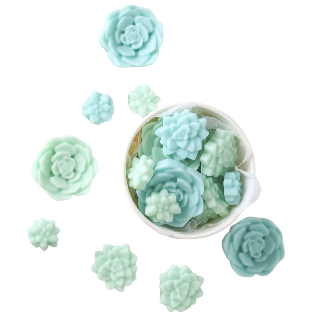 Bloomulent Succulent Wax Melts - Refreshing Spring Aroma | Natural Coco Wax