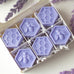 Lavender Meadow Honeycombs Wax Melts - Pack of 6