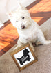 West Highlander White Terrier Decor - Personalized Westies Dog Lover Wall Sign - Jarful House